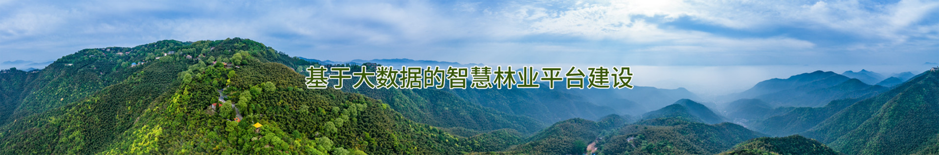 解决方案